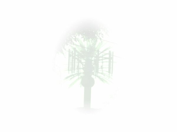 Law of Attraction  Card - Image 3