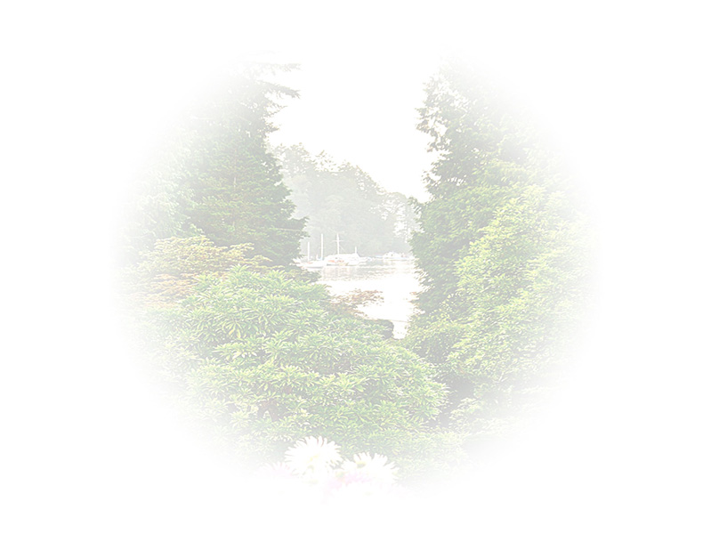 Law of Attraction  Card - Image 3