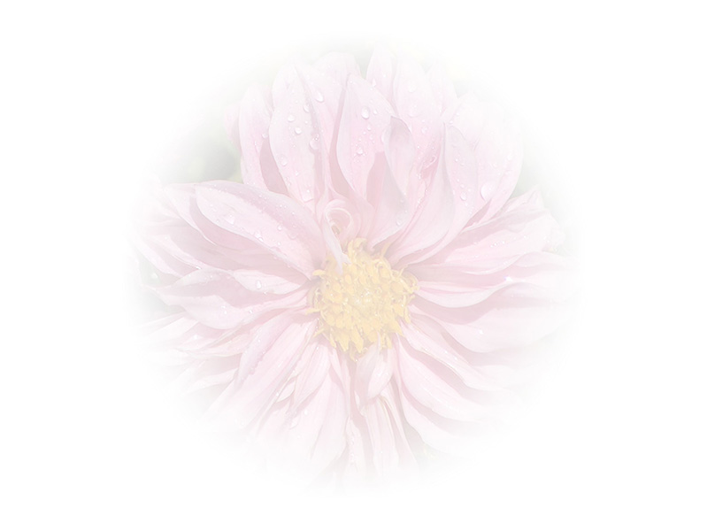 Law of Attraction  Card - Image 3