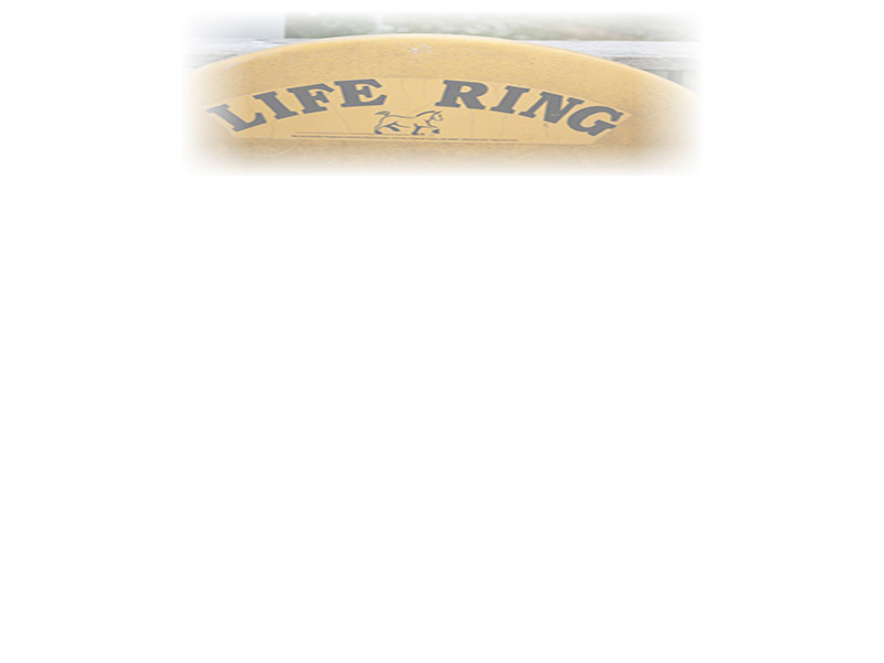 Law of Attraction  Card - Image 3