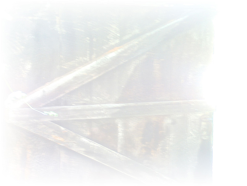 Law of Attraction  Card - Image 3
