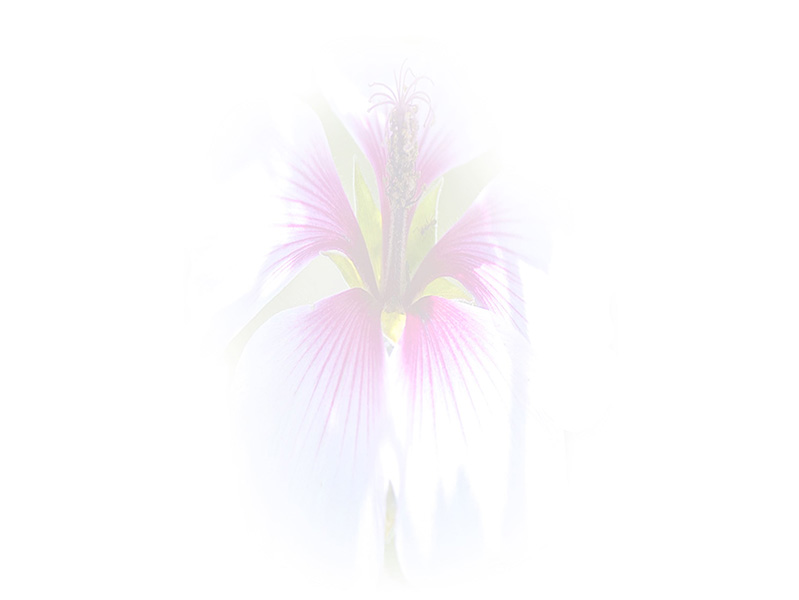 Law of Attraction  Card - Image 3