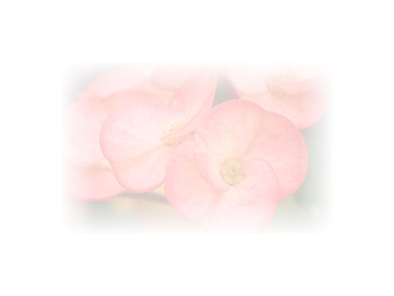 Law of Attraction  Card - Image 3