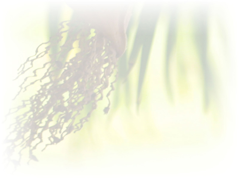 Law of Attraction  Card - Image 3