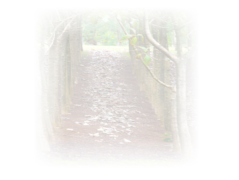 Law of Attraction  Card - Image 3