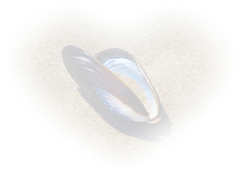 Law of Attraction  Card - Image 3