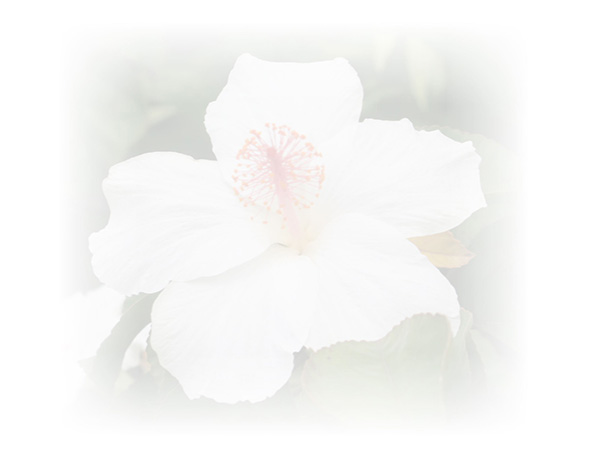 Law of Attraction  Card - Image 3