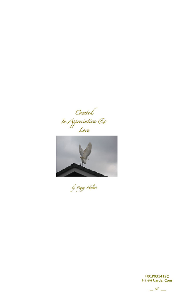 Law of Attraction  Card - Image 2