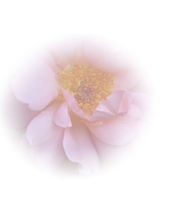 Law of Attraction  Card - Image 3