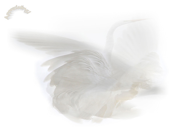 Law of Attraction  Card - Image 3