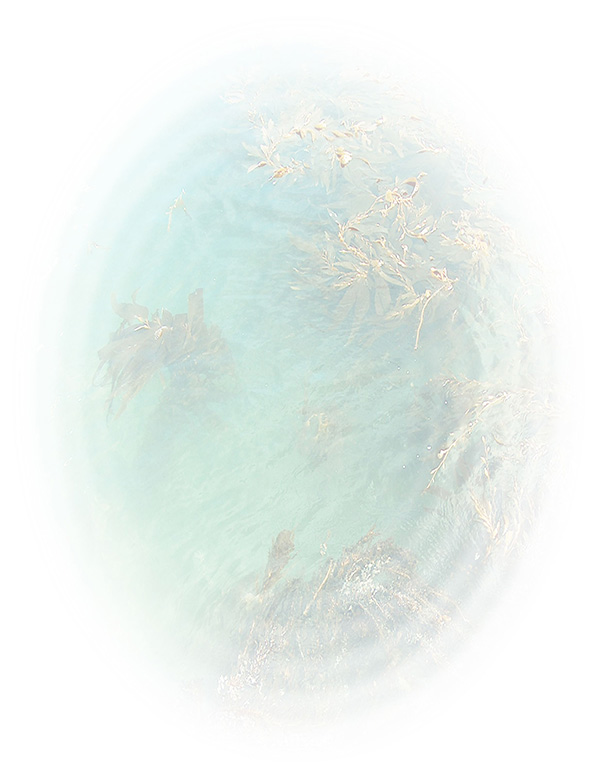 Law of Attraction  Card - Image 3