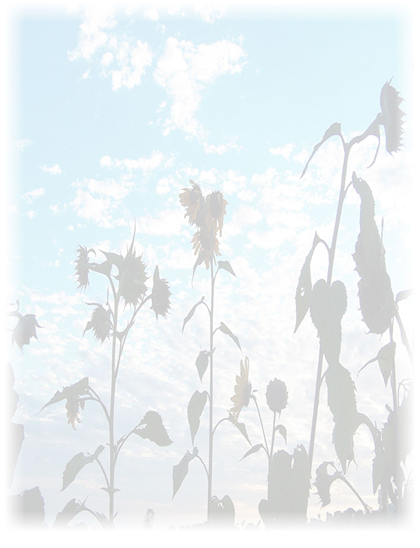 Law of Attraction  Card - Image 3