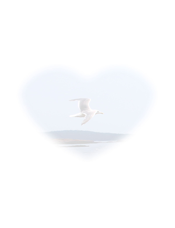 Law of Attraction  Card - Image 3