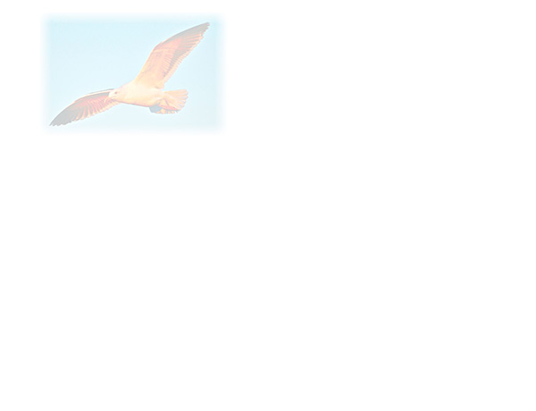 Law of Attraction  Card - Image 3
