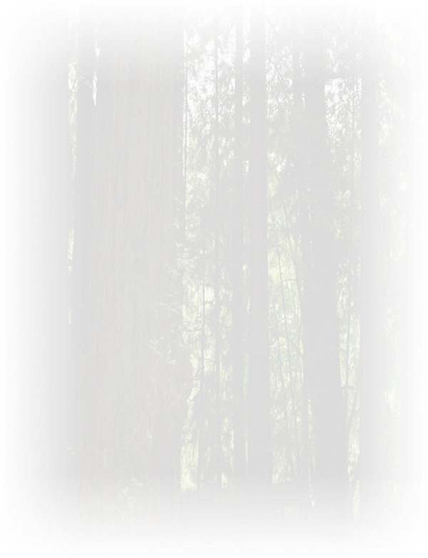 Law of Attraction  Card - Image 3