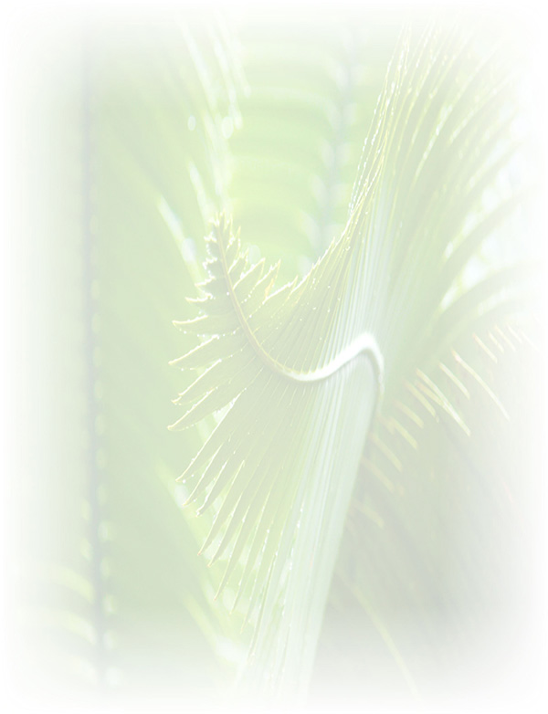 Law of Attraction  Card - Image 3