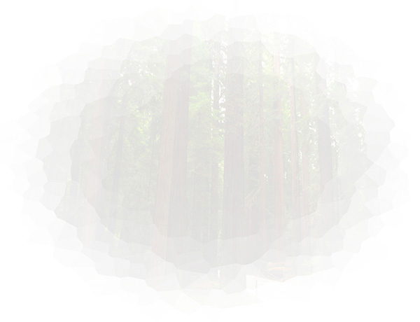 Law of Attraction  Card - Image 3
