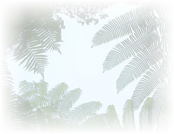 Law of Attraction  Card - Image 3