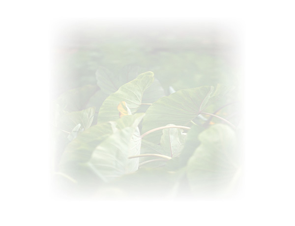 Law of Attraction  Card - Image 3