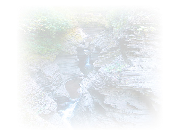 Law of Attraction  Card - Image 3