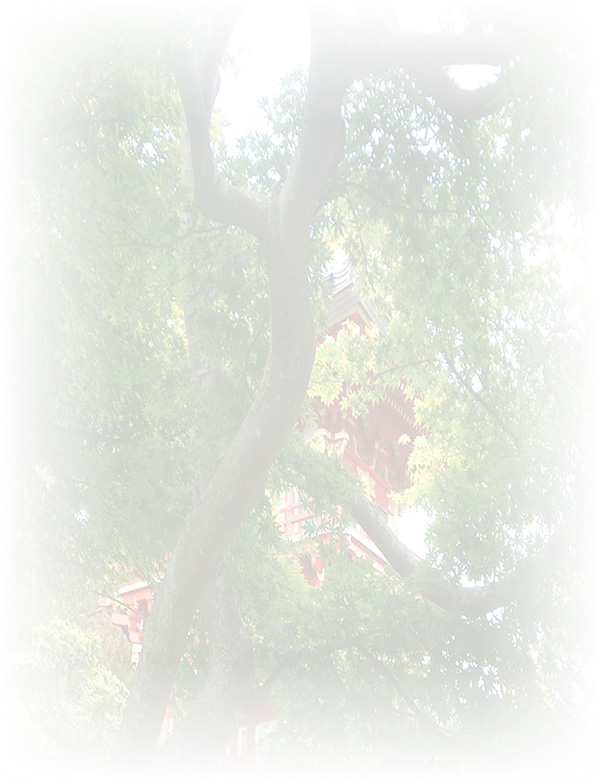 Law of Attraction  Card - Image 3