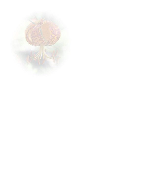 Law of Attraction  Card - Image 3