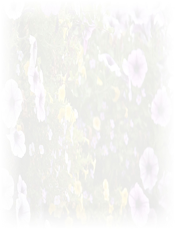 Law of Attraction  Card - Image 3