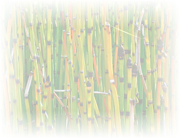 Law of Attraction  Card - Image 3