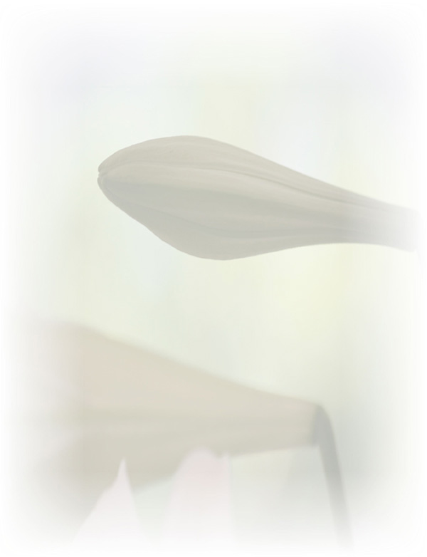 Law of Attraction  Card - Image 3