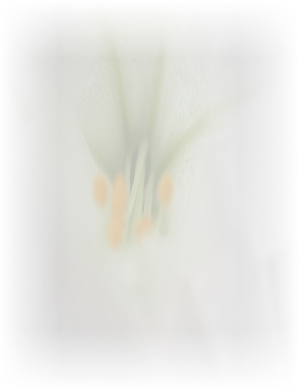 Law of Attraction  Card - Image 3