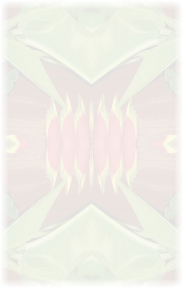 Law of Attraction  Card - Image 3