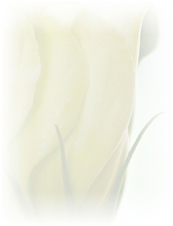 Law of Attraction  Card - Image 3