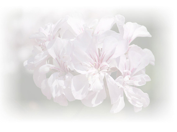 Law of Attraction  Card - Image 3