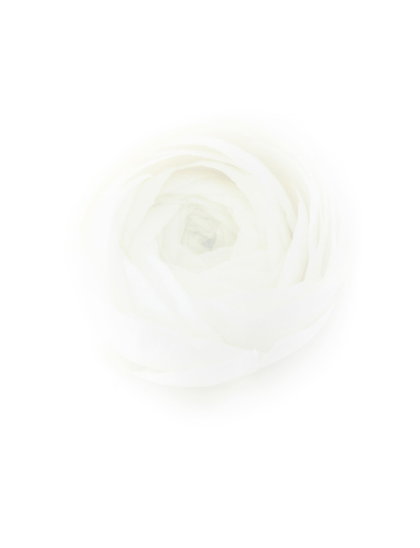 Law of Attraction  Card - Image 3