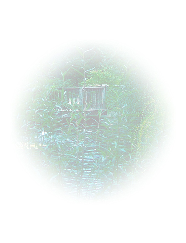 Law of Attraction  Card - Image 3
