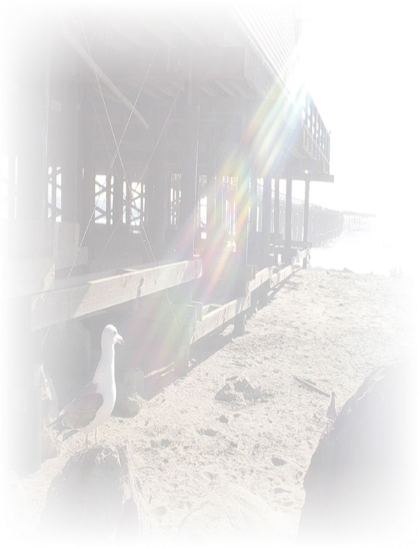 Law of Attraction  Card - Image 3