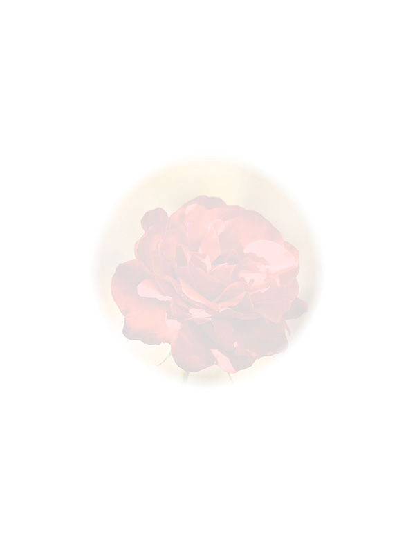 Law of Attraction  Card - Image 3