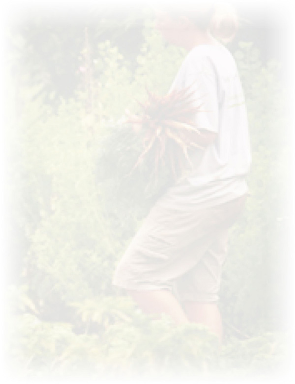 Law of Attraction Card - Image 3