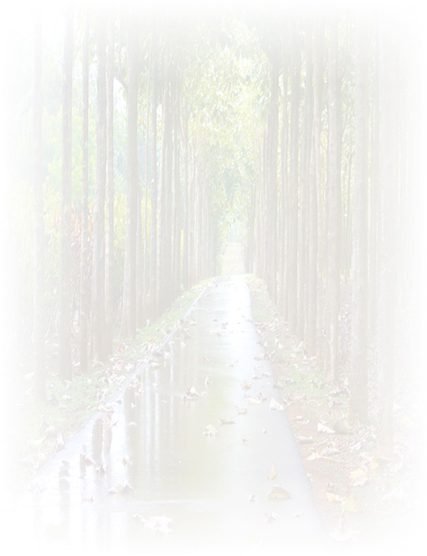Law of Attraction  Card - Image 3