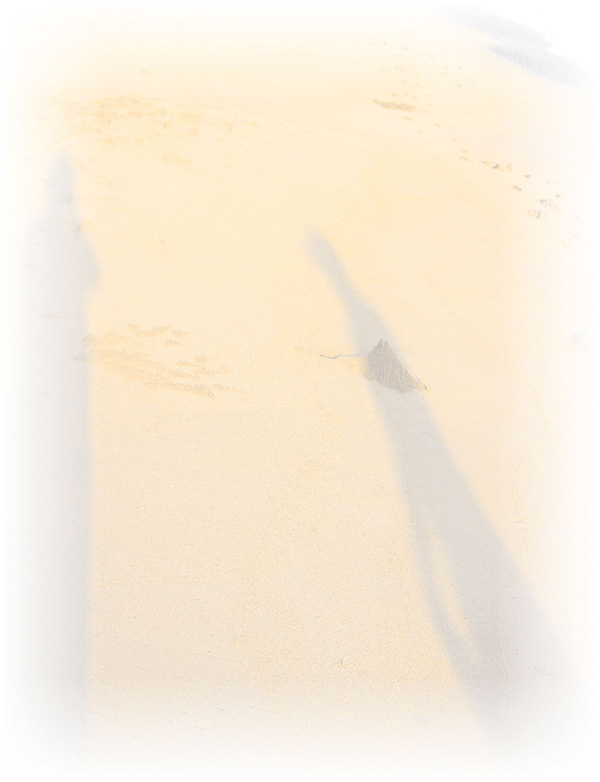 Law of Attraction  Card - Image 3