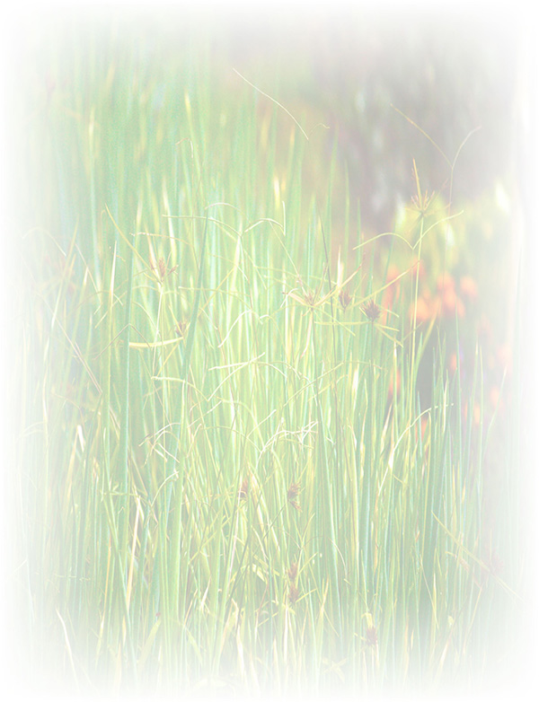 Law of Attraction Card - Image 3