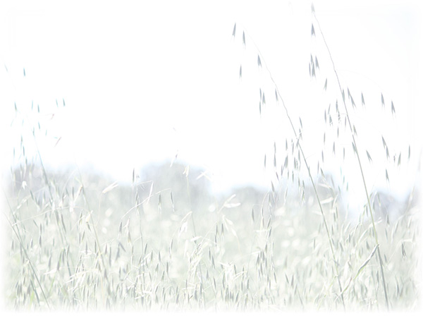 Law of Attraction  Card - Image 3