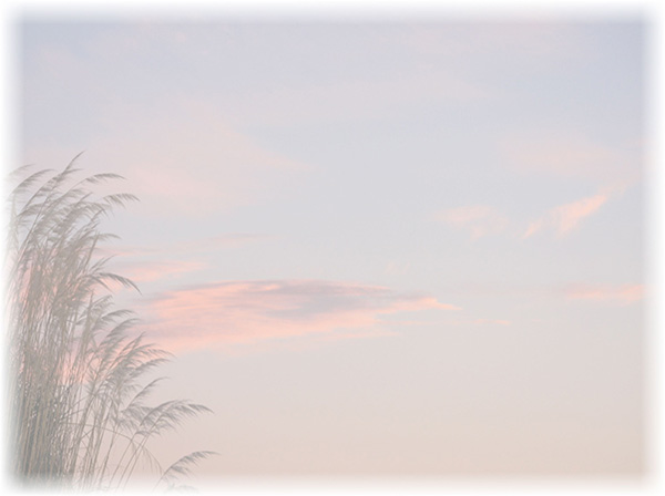Law of Attraction  Card - Image 3