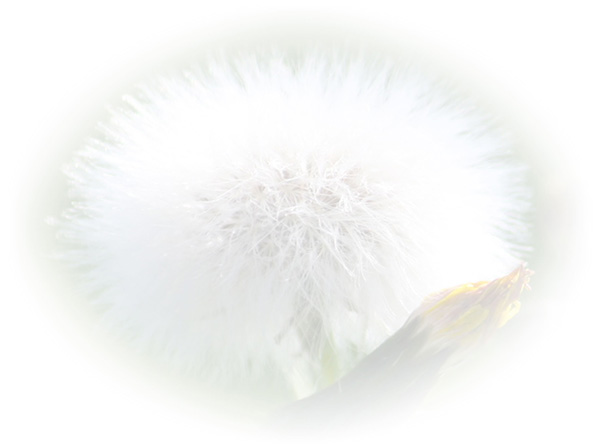 Law of Attraction  Card - Image 3