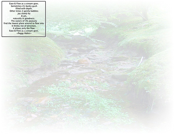 Law of Attraction  Card - Image 3