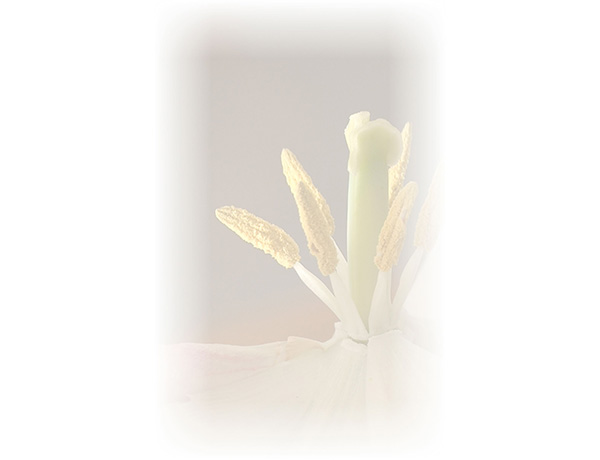 Law of Attraction  Card - Image 3