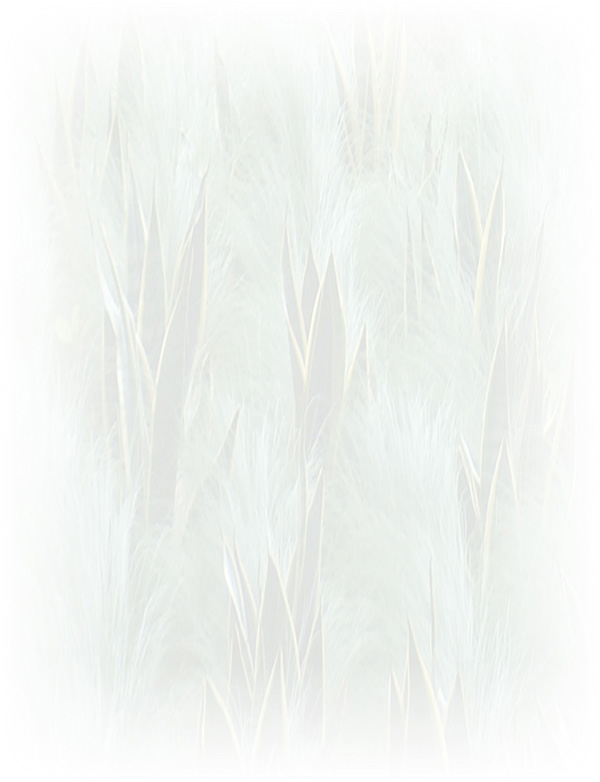 Law of Attraction  Card - Image 3