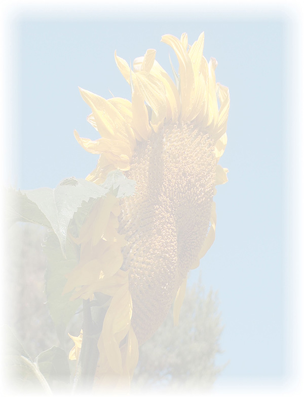 Law of Attraction  Card - Image 3