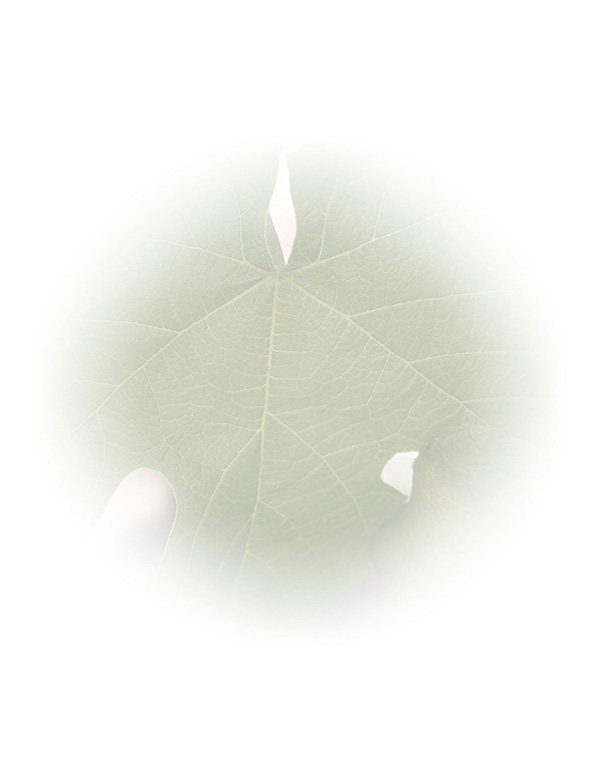 Law of Attraction  Card - Image 3
