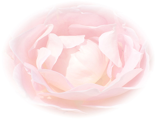 Law of Attraction  Card - Image 3